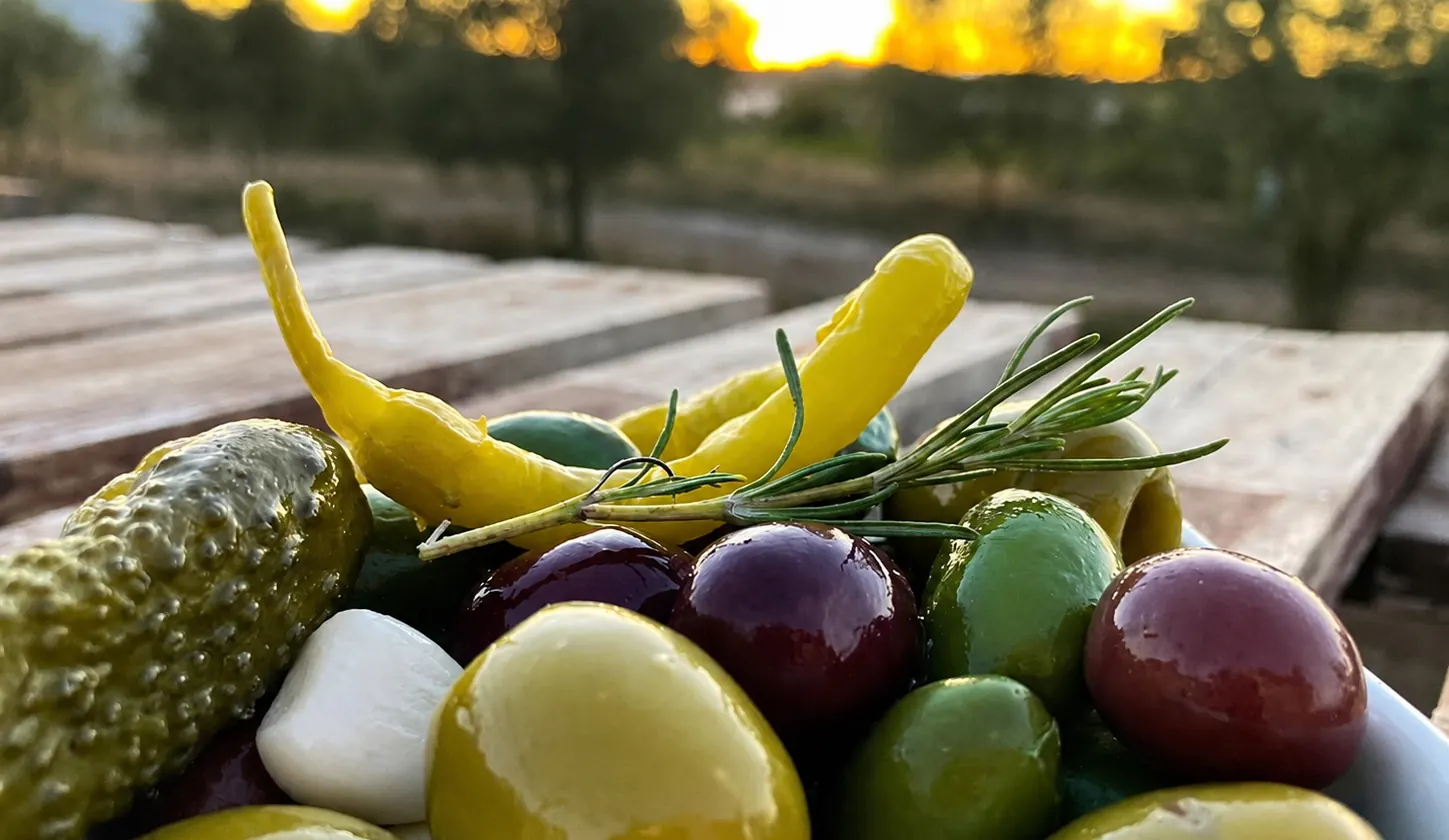 Bandeja de aceitunas y encurtidos Olives Sanjuan